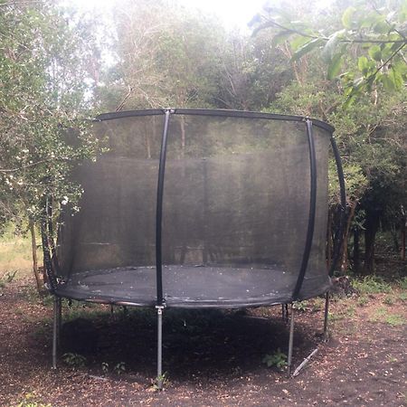Cabanas Ensenada Bosque Nativo Dış mekan fotoğraf