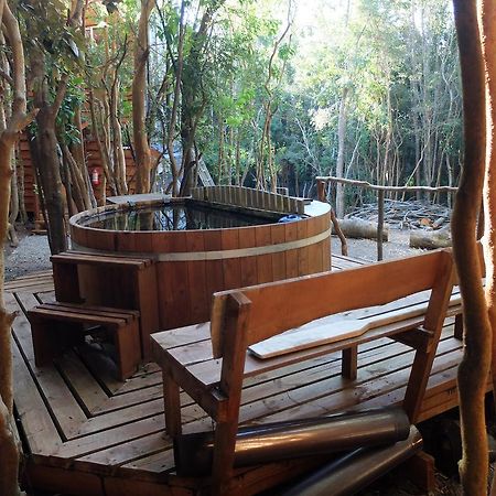 Cabanas Ensenada Bosque Nativo Dış mekan fotoğraf
