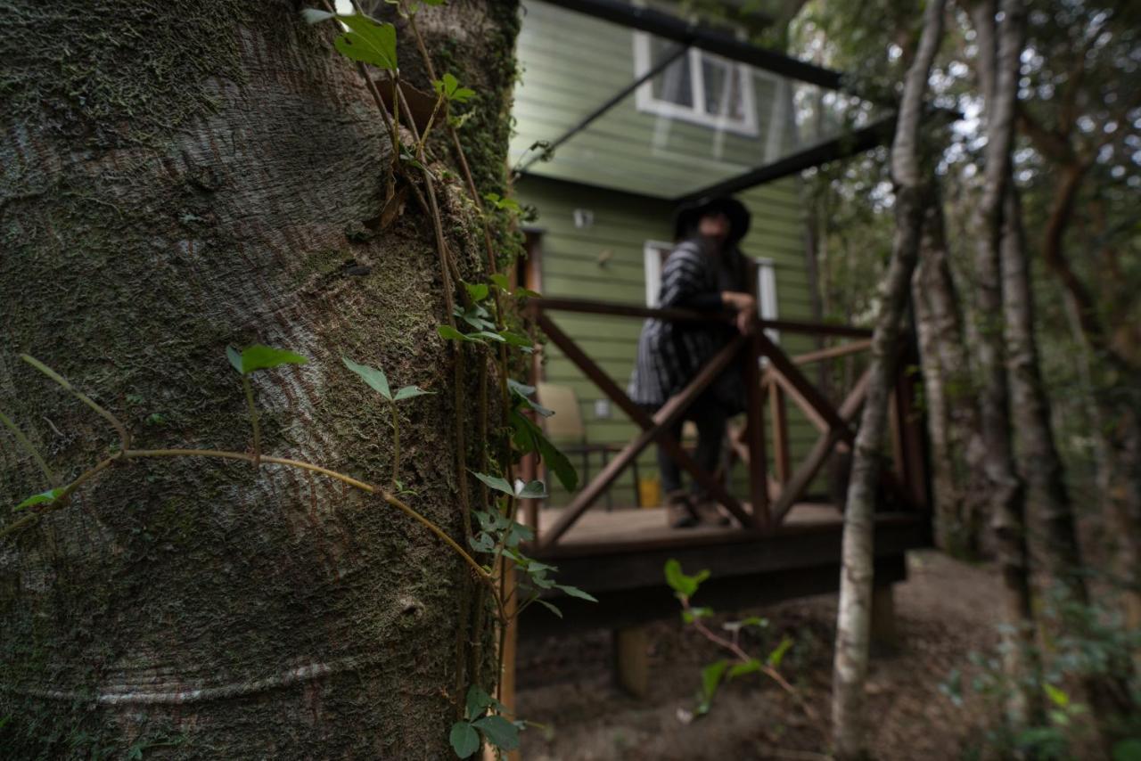 Cabanas Ensenada Bosque Nativo Dış mekan fotoğraf