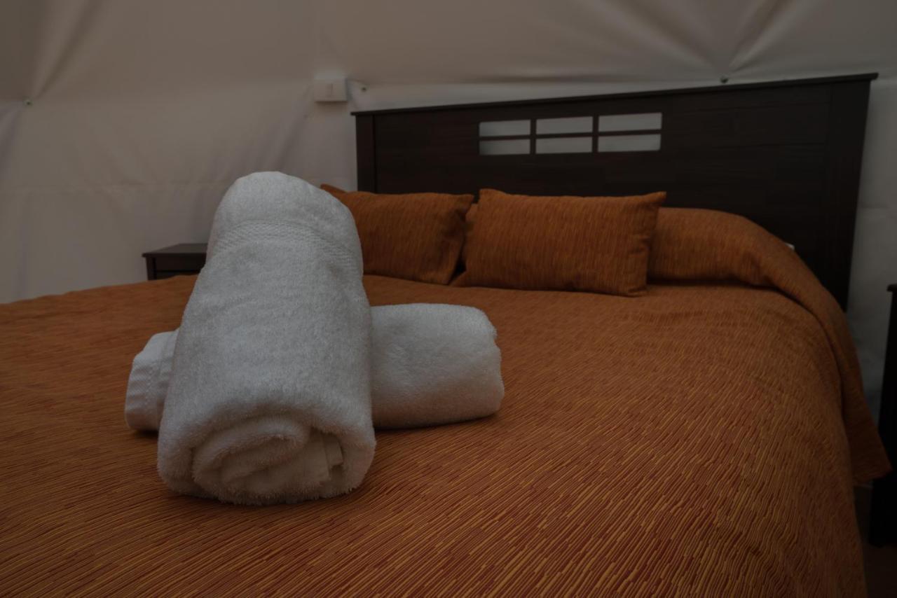 Cabanas Ensenada Bosque Nativo Dış mekan fotoğraf
