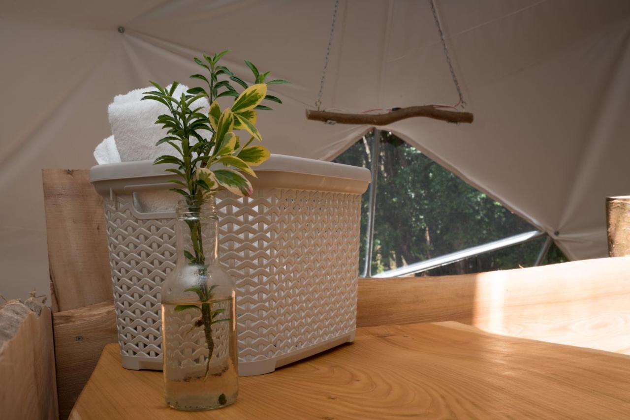 Cabanas Ensenada Bosque Nativo Dış mekan fotoğraf