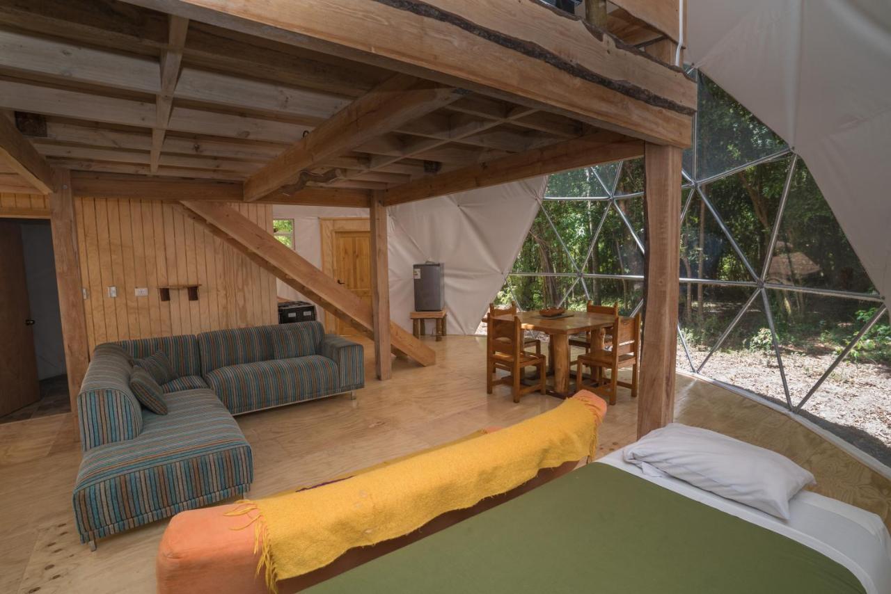 Cabanas Ensenada Bosque Nativo Dış mekan fotoğraf