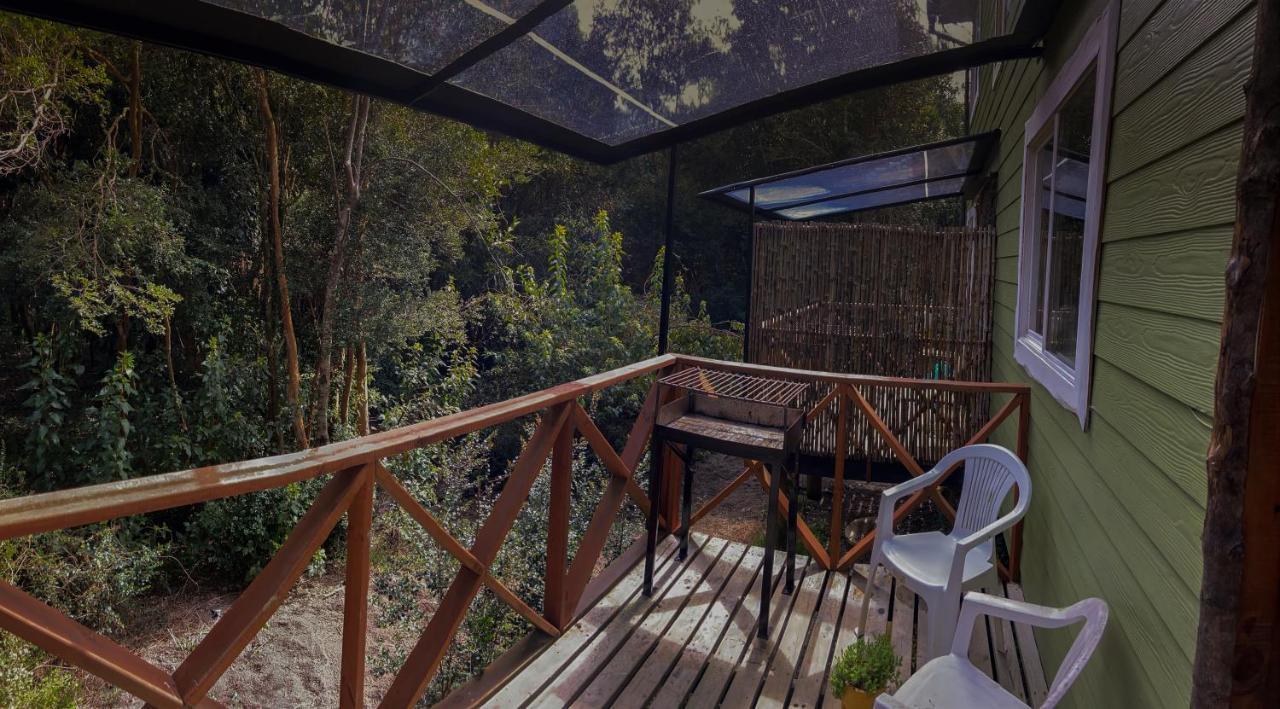 Cabanas Ensenada Bosque Nativo Dış mekan fotoğraf