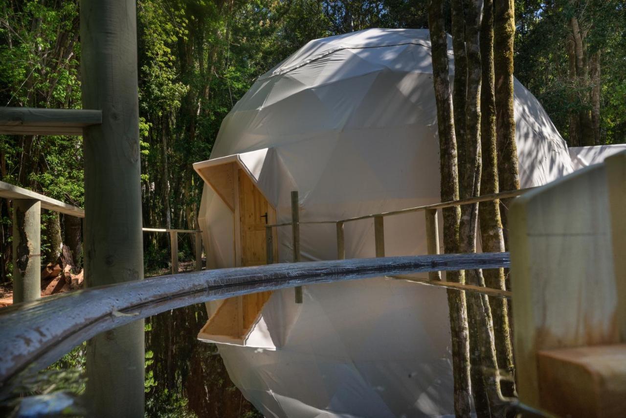 Cabanas Ensenada Bosque Nativo Dış mekan fotoğraf