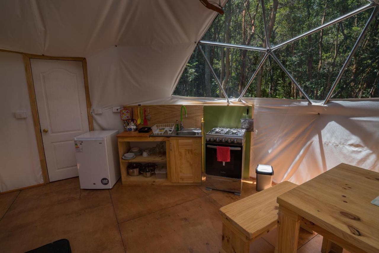 Cabanas Ensenada Bosque Nativo Dış mekan fotoğraf