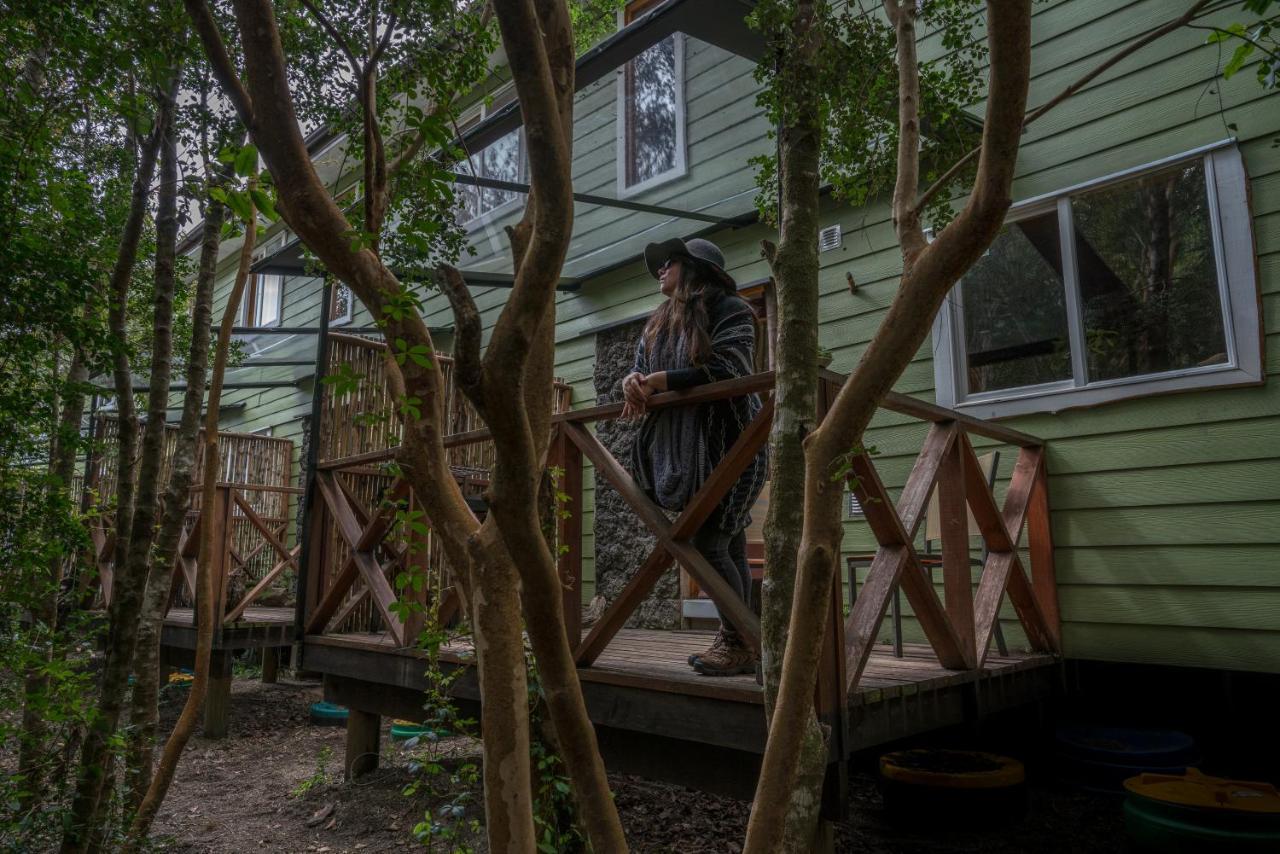 Cabanas Ensenada Bosque Nativo Dış mekan fotoğraf