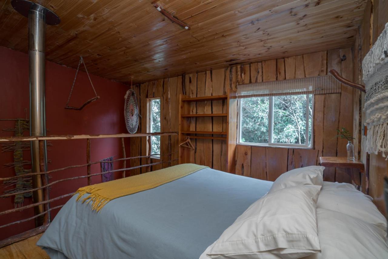 Cabanas Ensenada Bosque Nativo Dış mekan fotoğraf