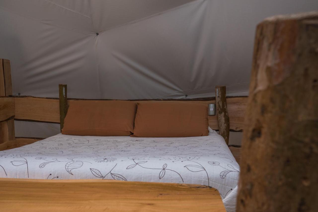 Cabanas Ensenada Bosque Nativo Dış mekan fotoğraf