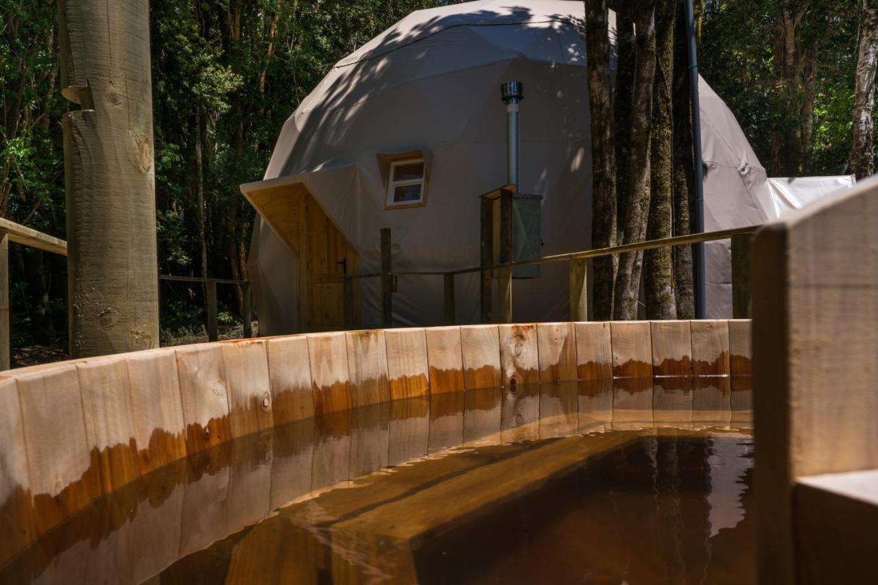Cabanas Ensenada Bosque Nativo Dış mekan fotoğraf