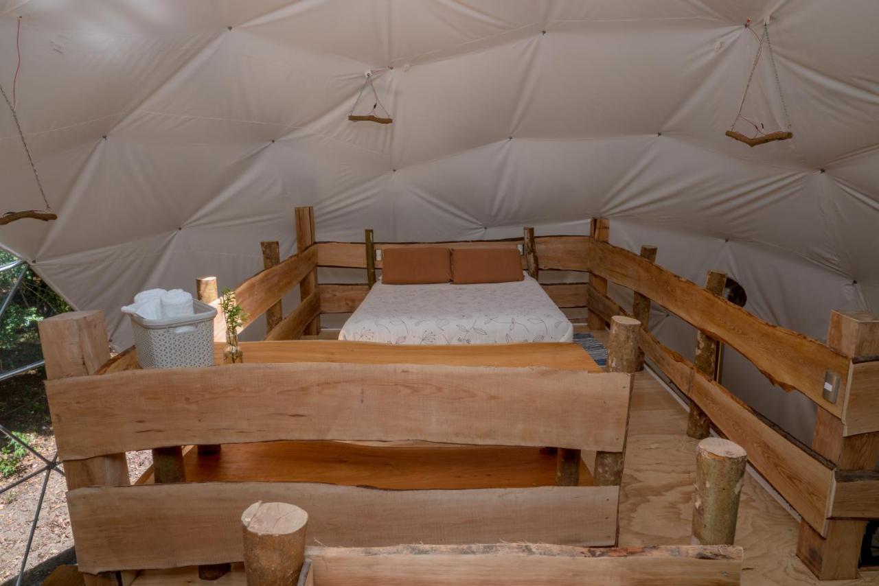 Cabanas Ensenada Bosque Nativo Dış mekan fotoğraf
