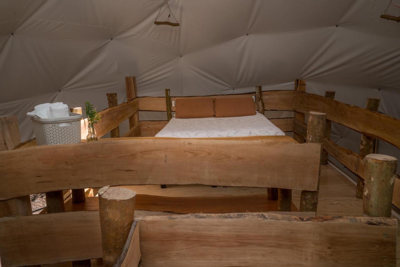 Cabanas Ensenada Bosque Nativo Dış mekan fotoğraf