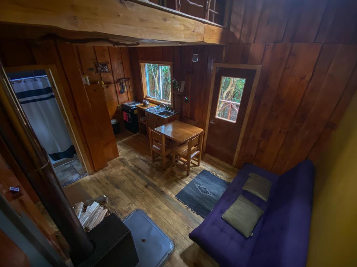 Cabanas Ensenada Bosque Nativo Dış mekan fotoğraf