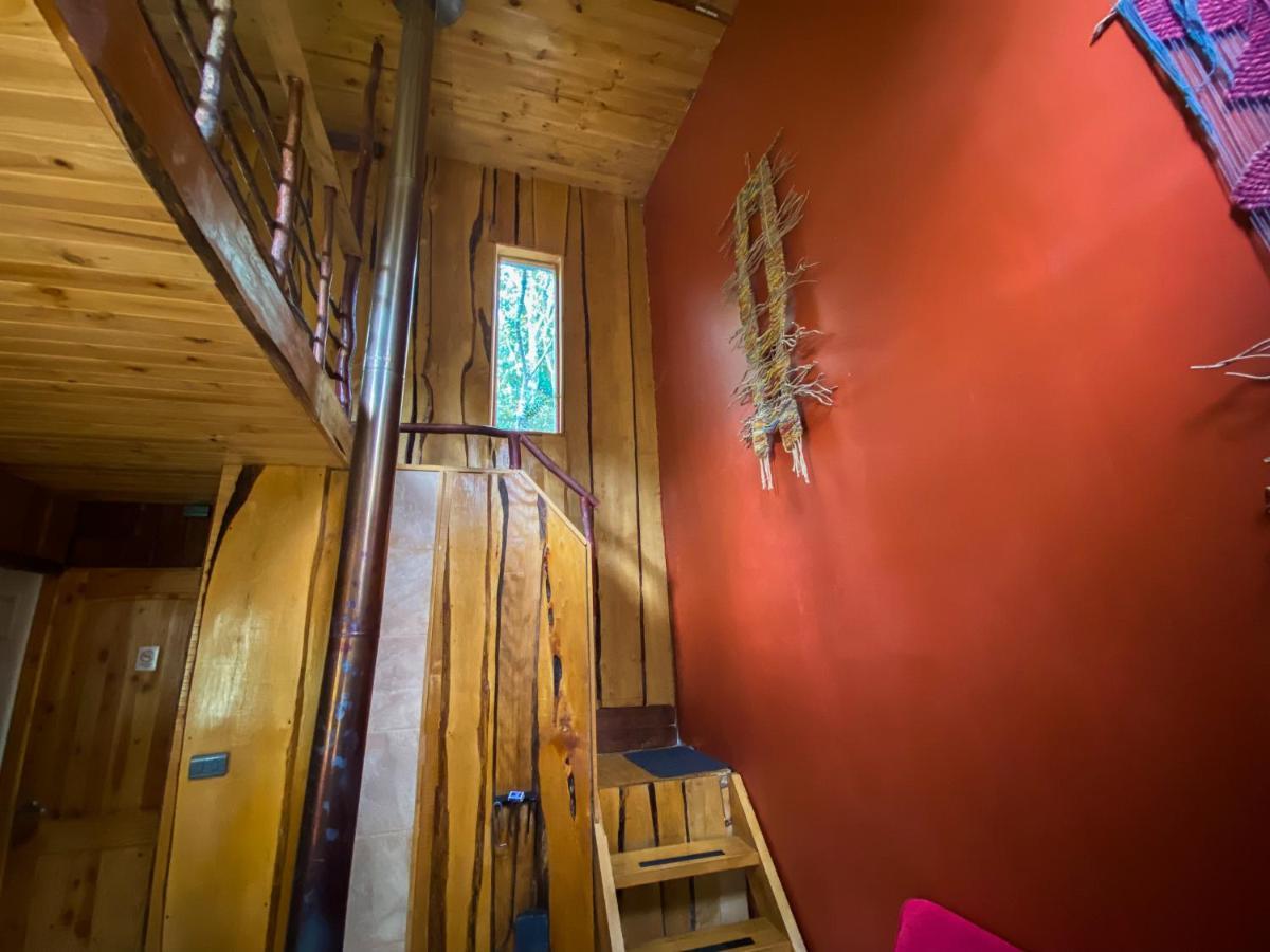 Cabanas Ensenada Bosque Nativo Dış mekan fotoğraf