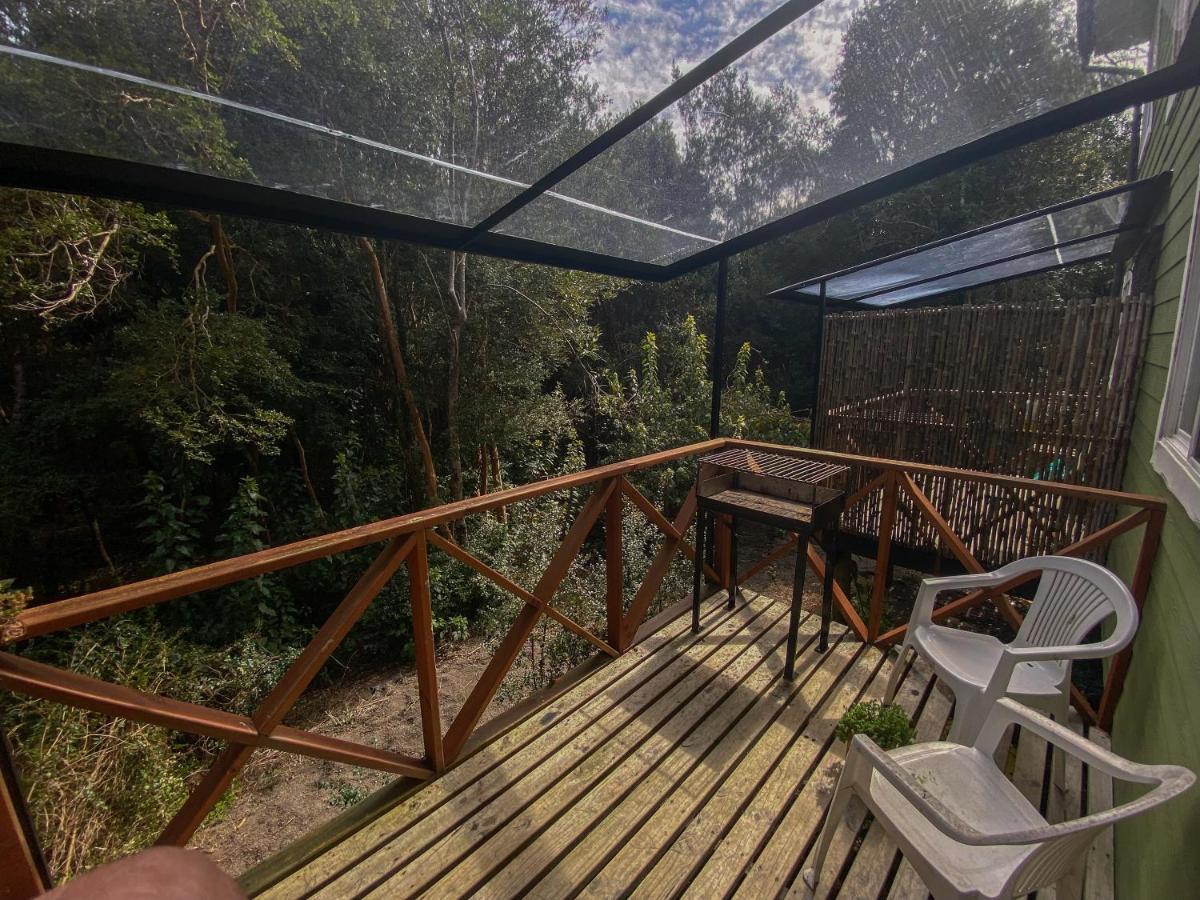 Cabanas Ensenada Bosque Nativo Dış mekan fotoğraf
