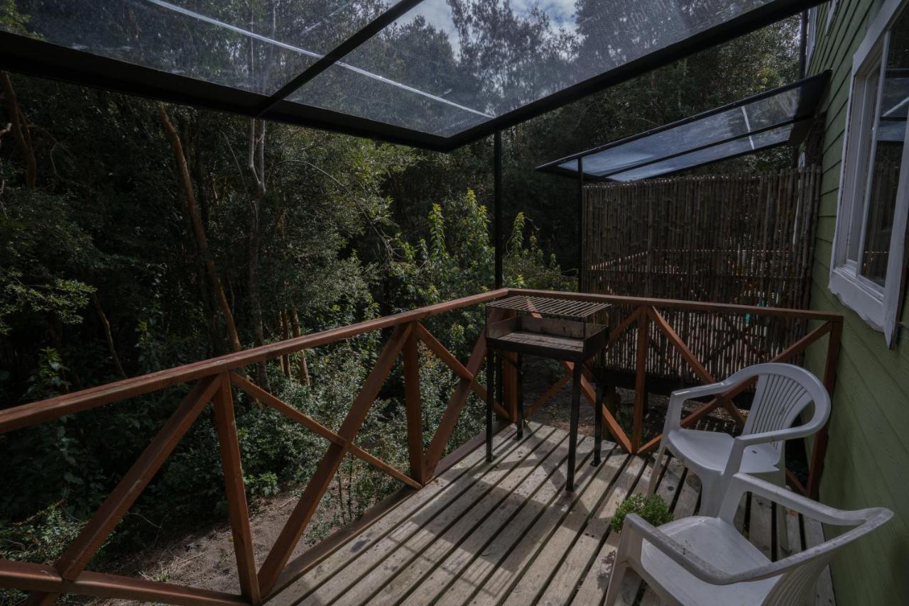 Cabanas Ensenada Bosque Nativo Dış mekan fotoğraf