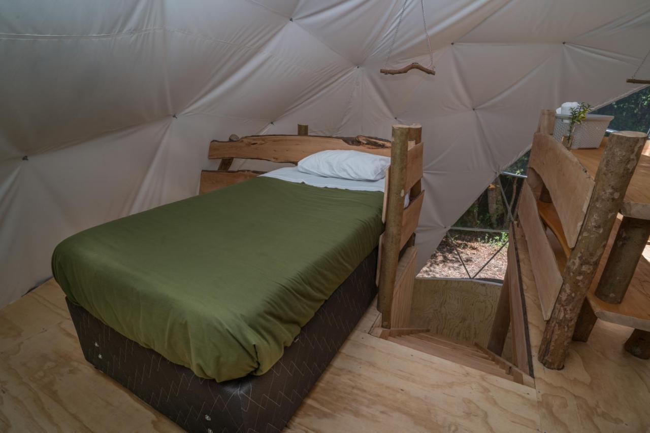 Cabanas Ensenada Bosque Nativo Dış mekan fotoğraf