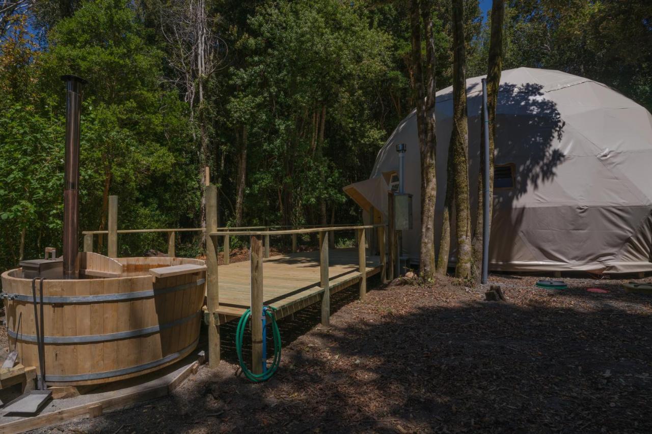 Cabanas Ensenada Bosque Nativo Dış mekan fotoğraf
