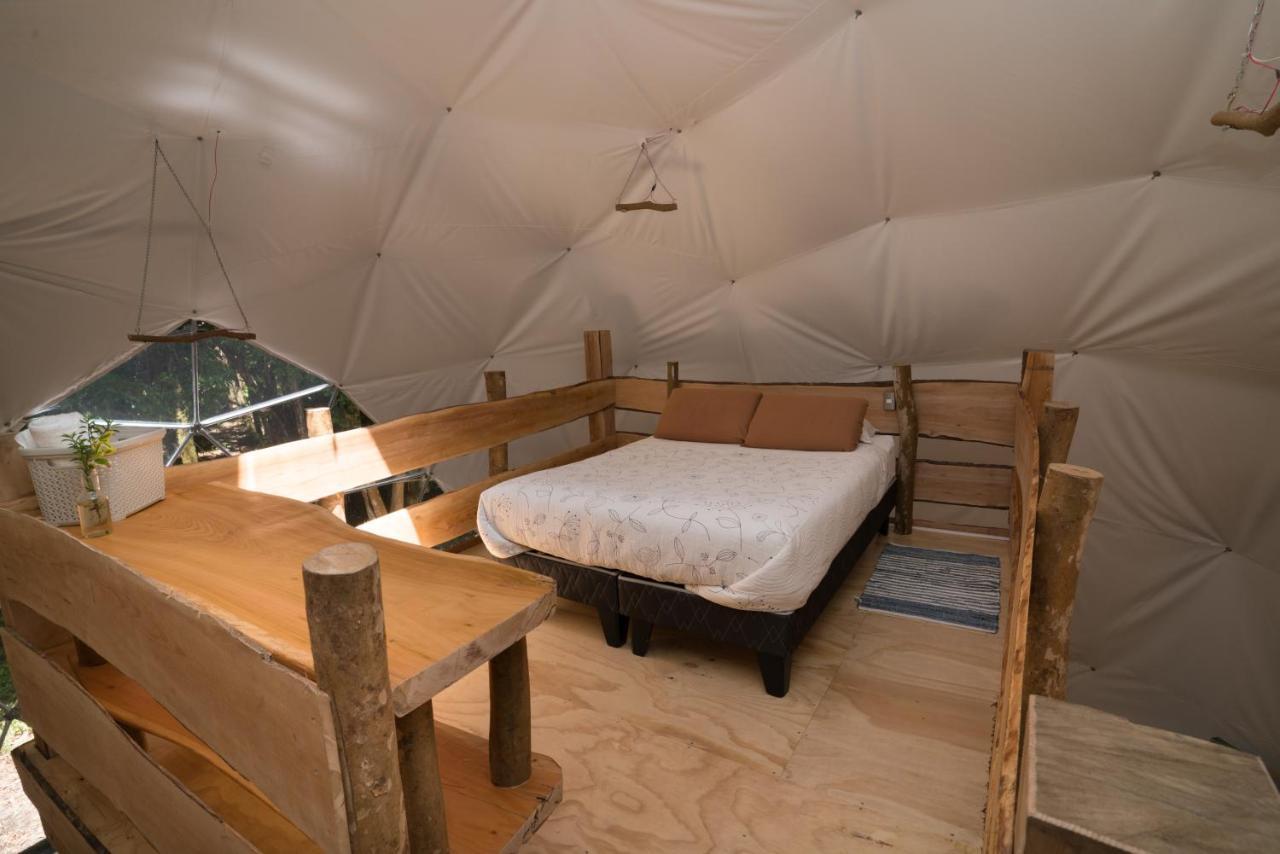 Cabanas Ensenada Bosque Nativo Dış mekan fotoğraf