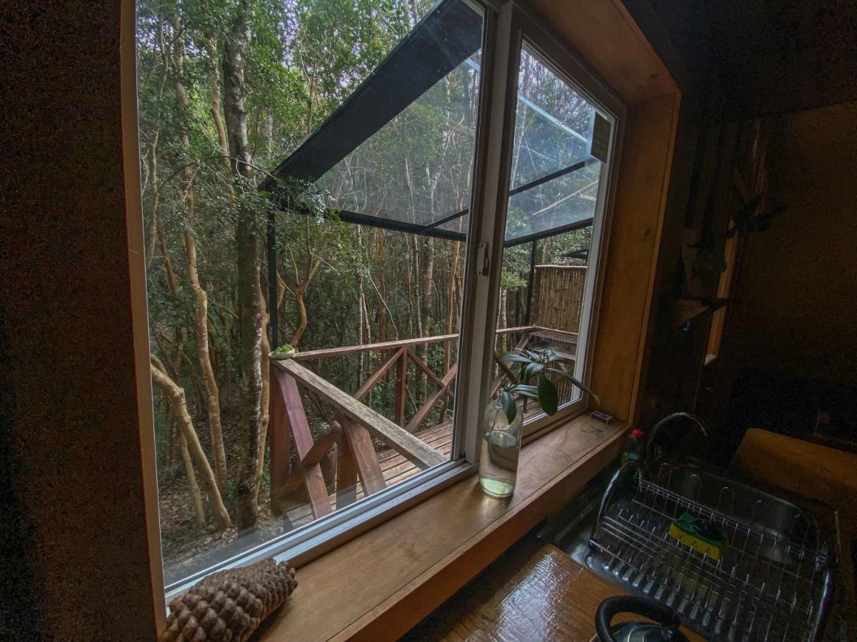 Cabanas Ensenada Bosque Nativo Dış mekan fotoğraf