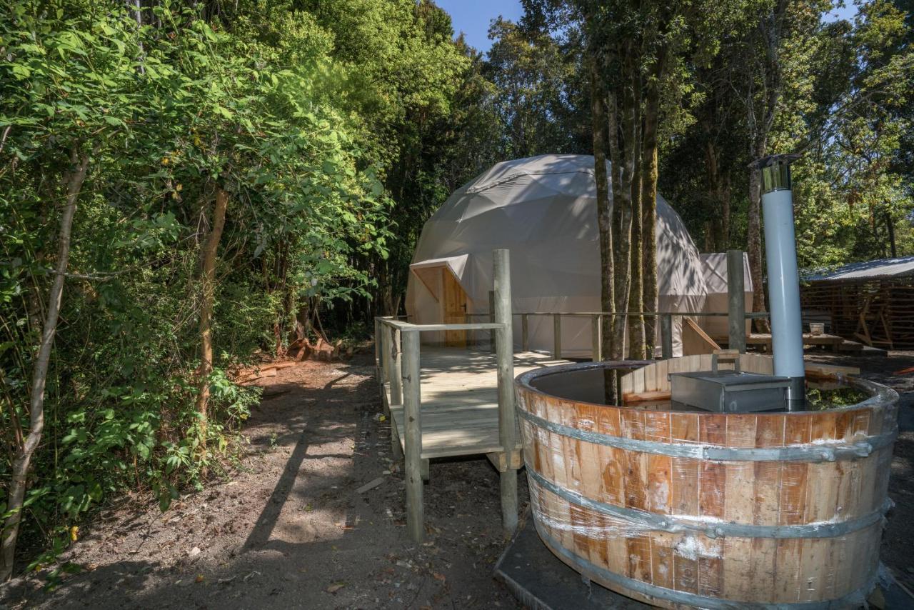 Cabanas Ensenada Bosque Nativo Dış mekan fotoğraf