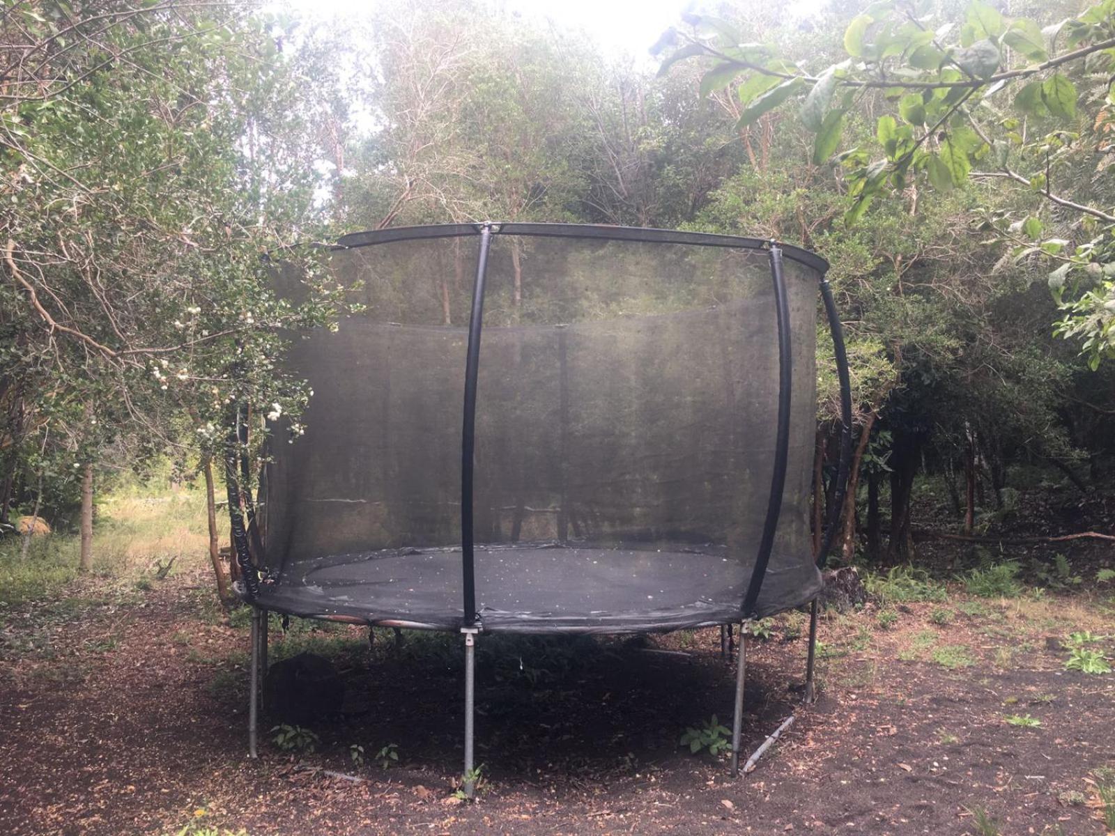 Cabanas Ensenada Bosque Nativo Dış mekan fotoğraf