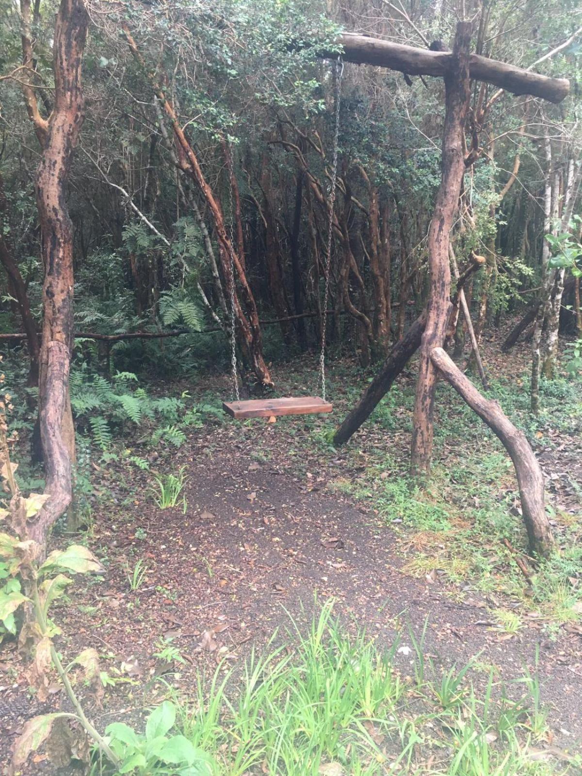 Cabanas Ensenada Bosque Nativo Dış mekan fotoğraf