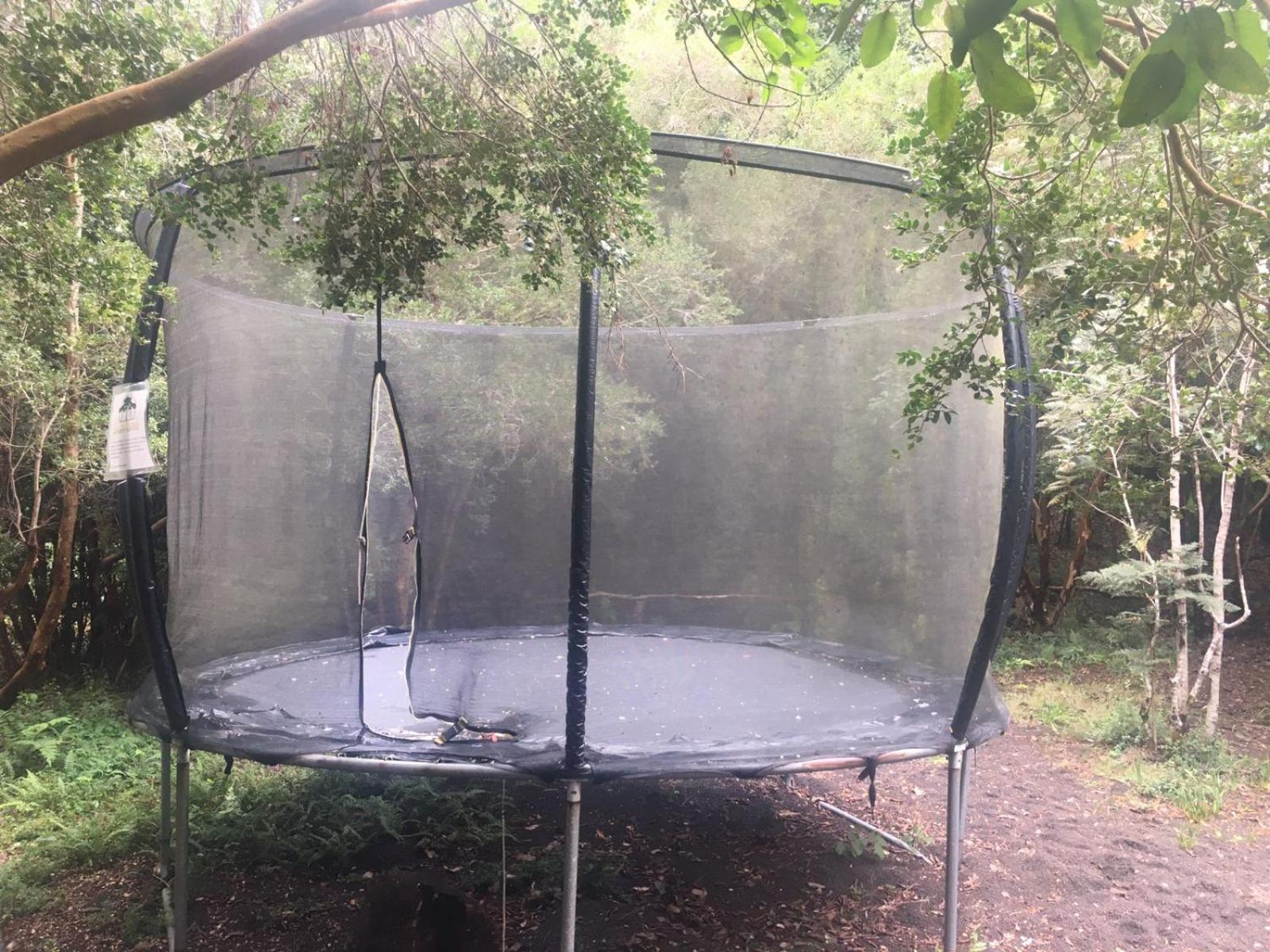 Cabanas Ensenada Bosque Nativo Dış mekan fotoğraf