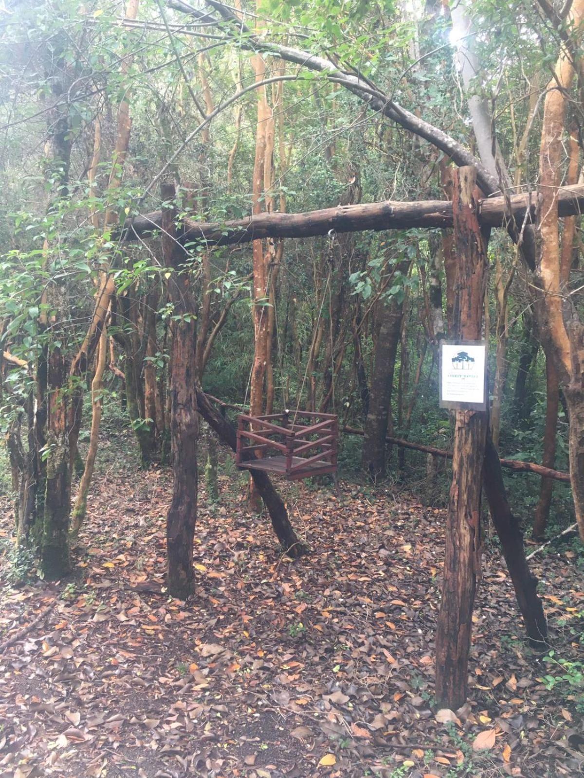 Cabanas Ensenada Bosque Nativo Dış mekan fotoğraf