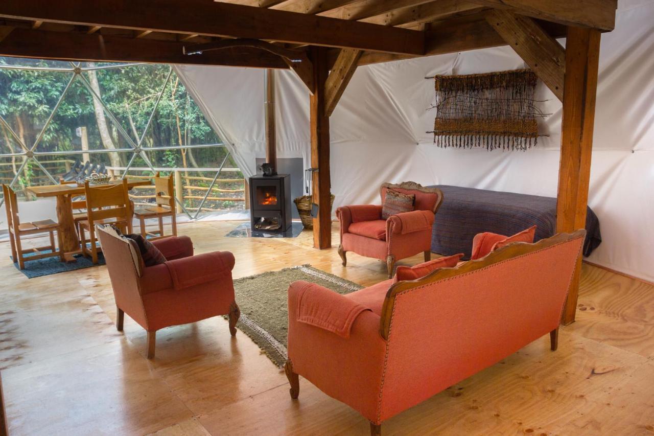 Cabanas Ensenada Bosque Nativo Dış mekan fotoğraf