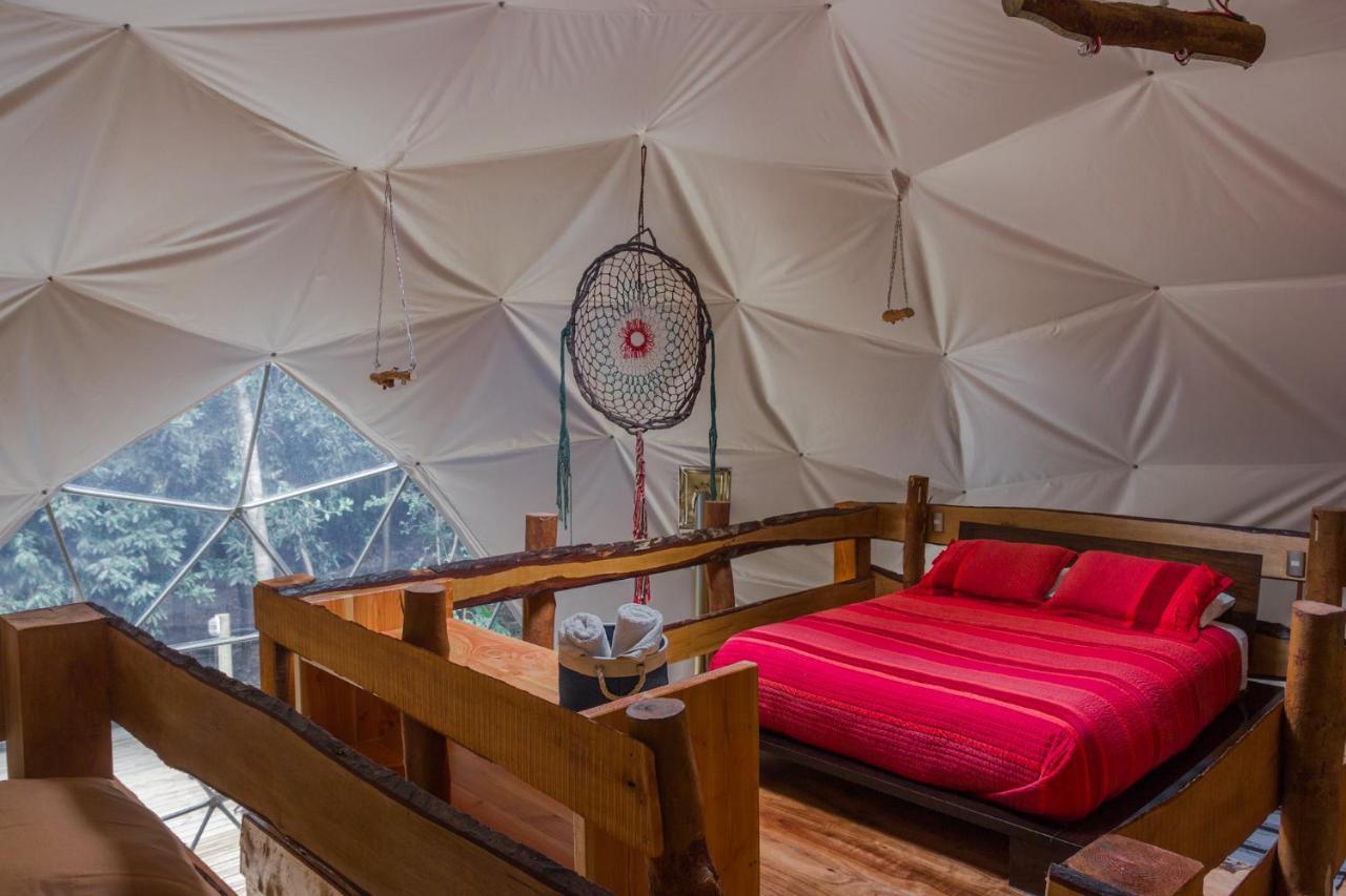 Cabanas Ensenada Bosque Nativo Dış mekan fotoğraf