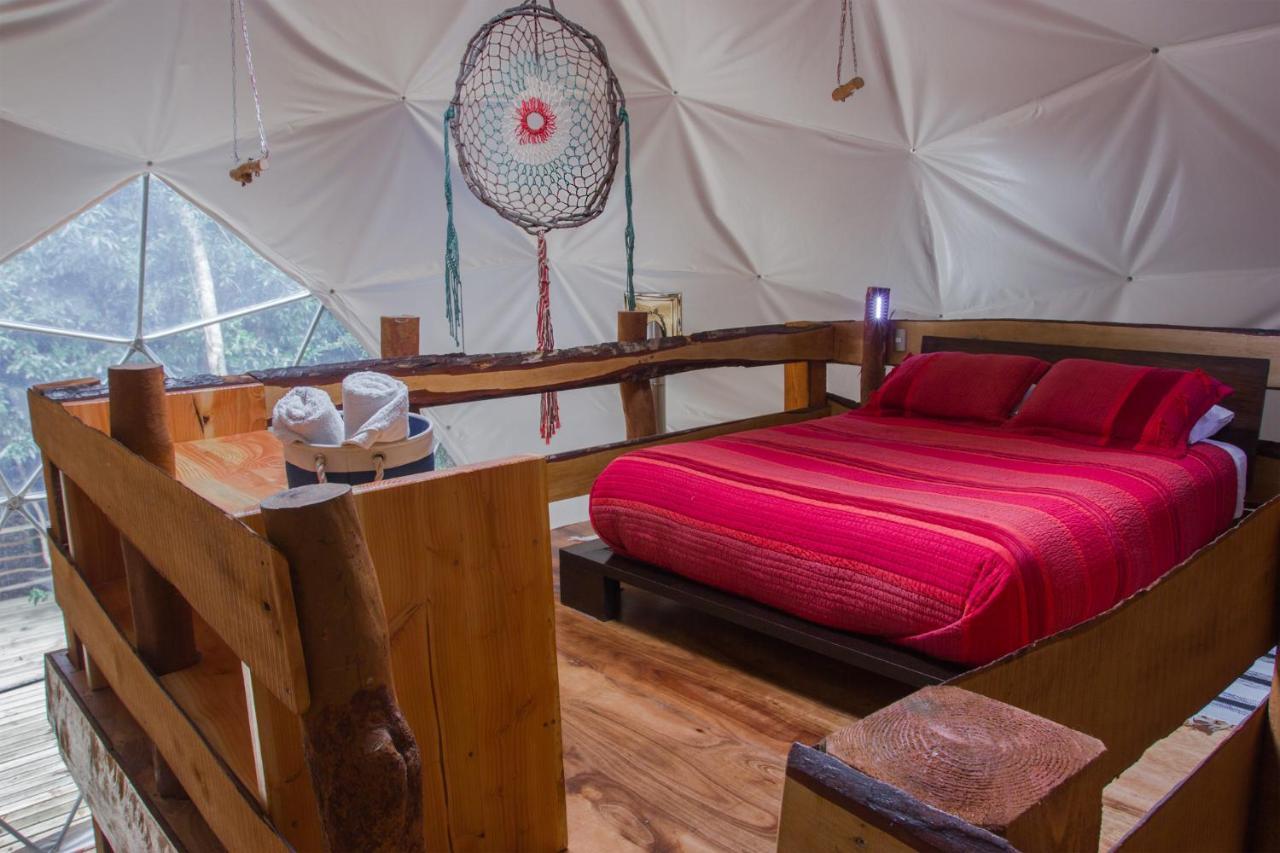 Cabanas Ensenada Bosque Nativo Dış mekan fotoğraf