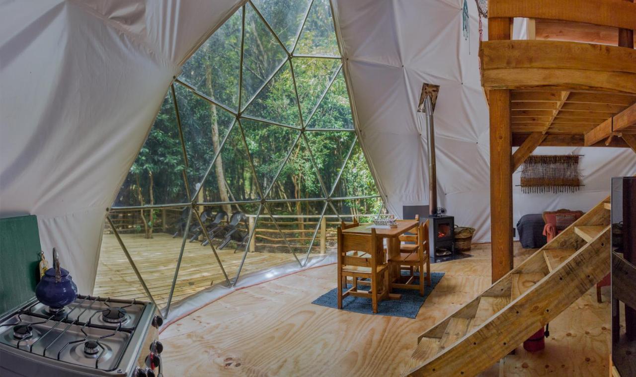 Cabanas Ensenada Bosque Nativo Dış mekan fotoğraf