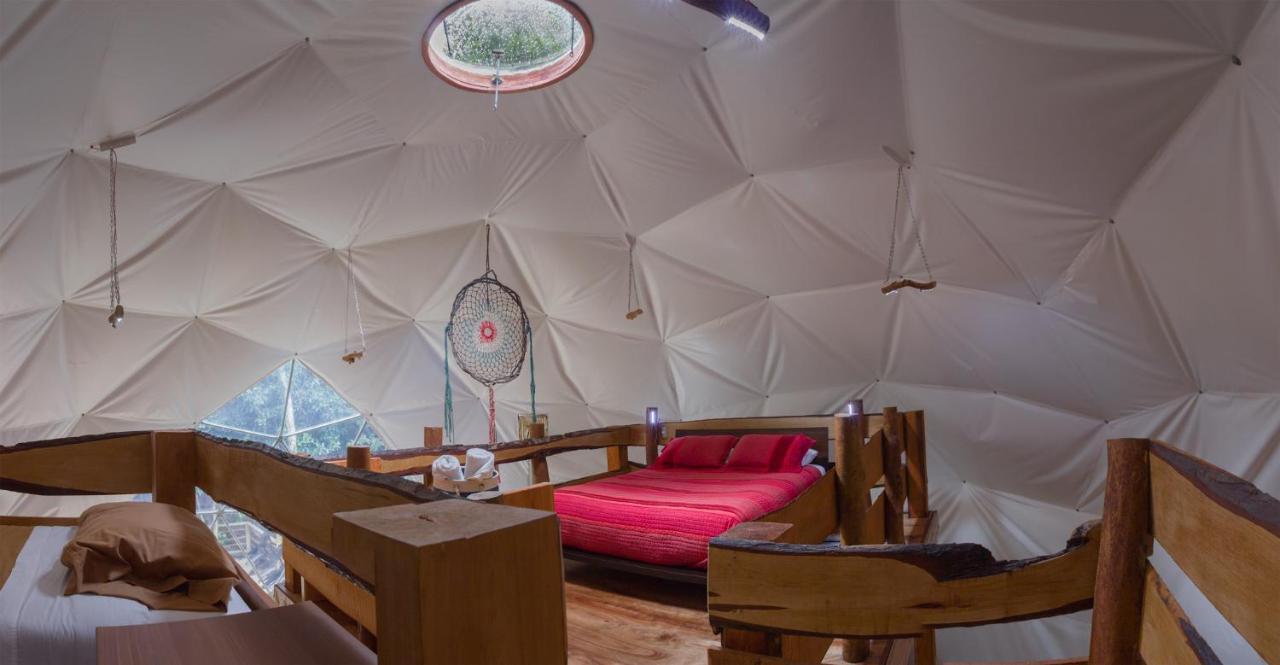 Cabanas Ensenada Bosque Nativo Dış mekan fotoğraf