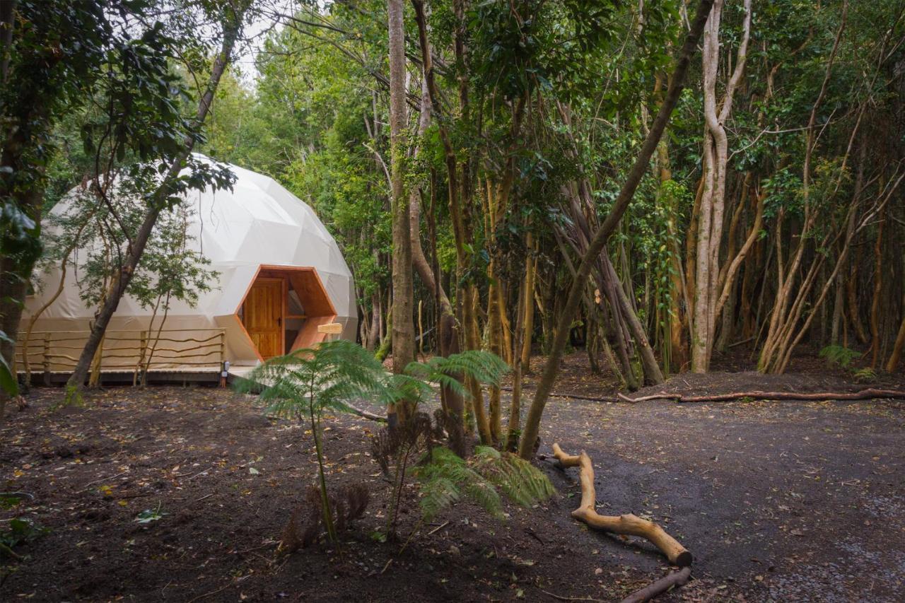 Cabanas Ensenada Bosque Nativo Dış mekan fotoğraf